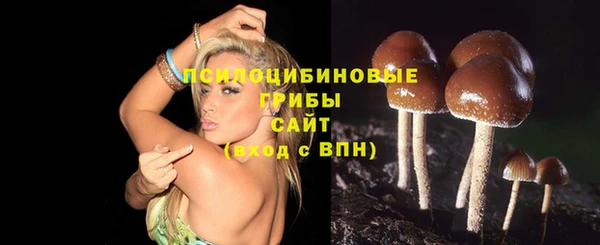 MDMA Premium VHQ Заводоуковск