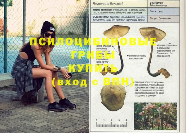 круглые Заволжск