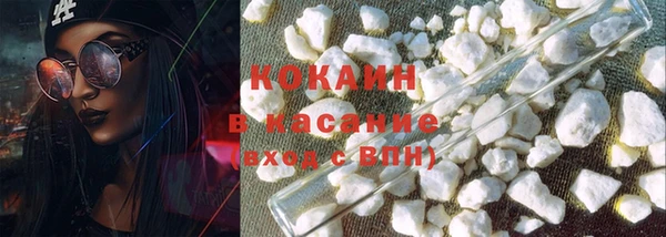 прущие грибы Елабуга